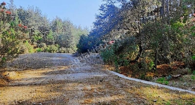 3.630 M2 İmarlı Tarla 150 M2 Ev Yapılabilir İmar İzni Alınmış !! - Görsel 7