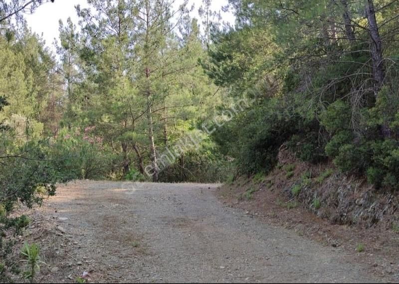 3.630 M2 İmarlı Tarla 150 M2 Ev Yapılabilir İmar İzni Alınmış !! - Görsel 6