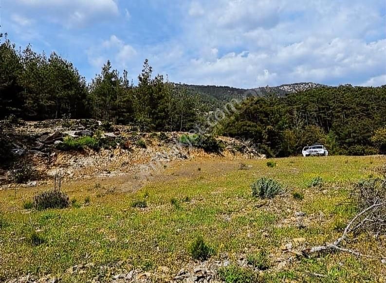 3.630 M2 İmarlı Tarla 150 M2 Ev Yapılabilir İmar İzni Alınmış !! - Görsel 2