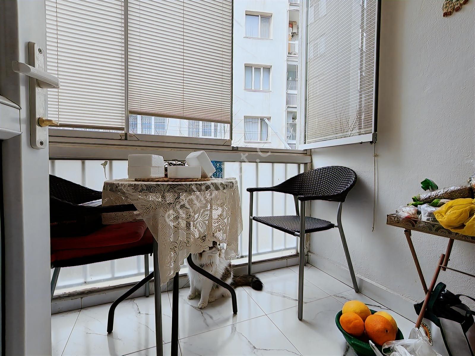 Aşağı/ayranc/kuzgun/cad/üzeri/ara/kat/3+1/+kler/meclis/yakını - Görsel 2