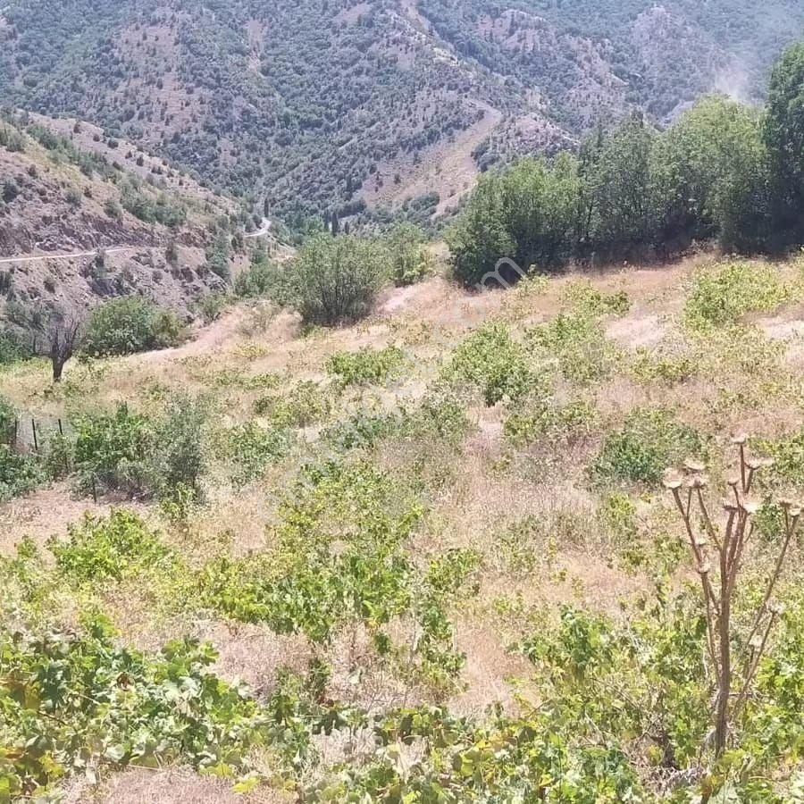 Pozantı Kar Emlak Tan Ömerli Köyünde Yaylalık 1400 M2 Satılık Bahçe