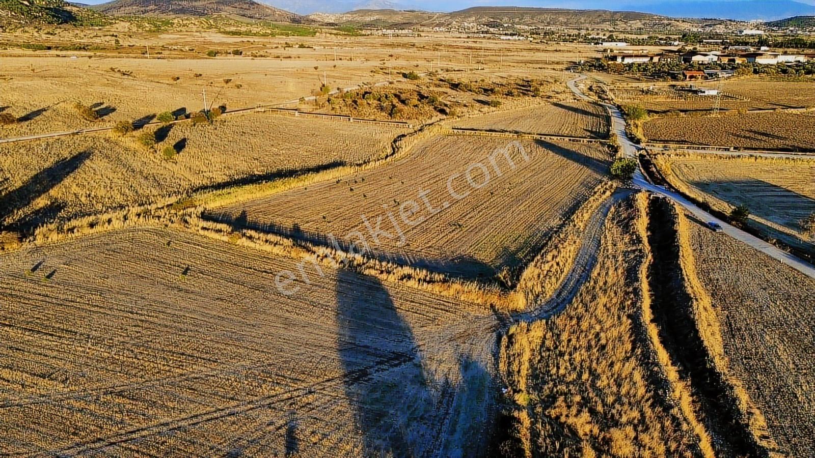 Foça Bağarası Hacıveli Mah. Satılık Tek Tapulu Tarla - Görsel 6
