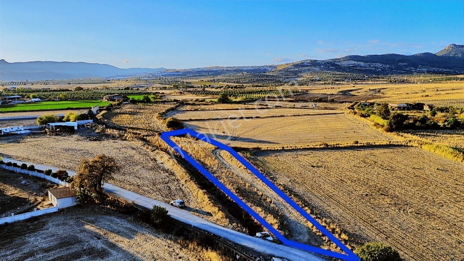 Foça Bağarası Hacıveli Mah. Satılık Tek Tapulu Tarla - Görsel 31