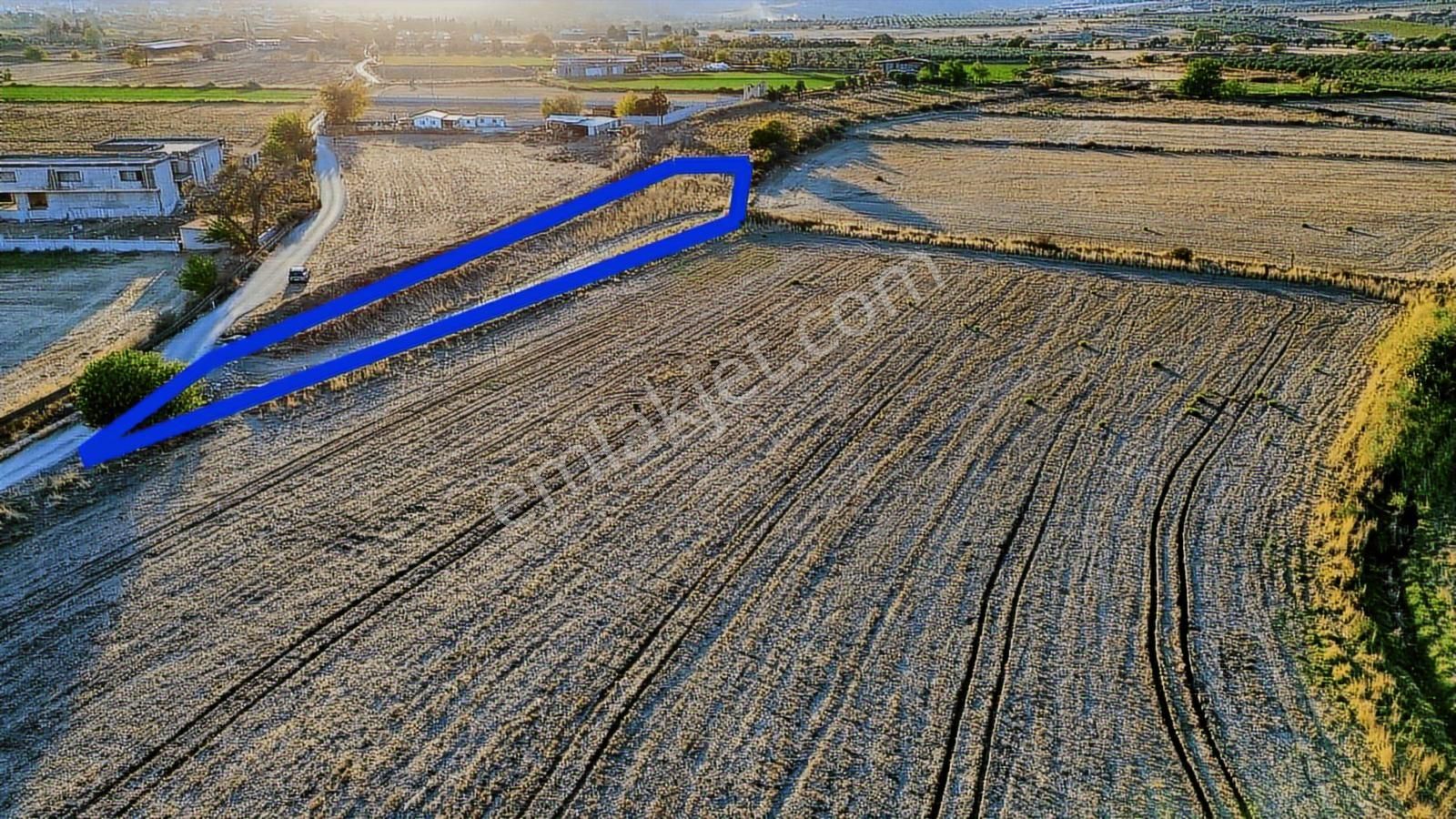 Foça Bağarası Hacıveli Mah. Satılık Tek Tapulu Tarla - Görsel 29