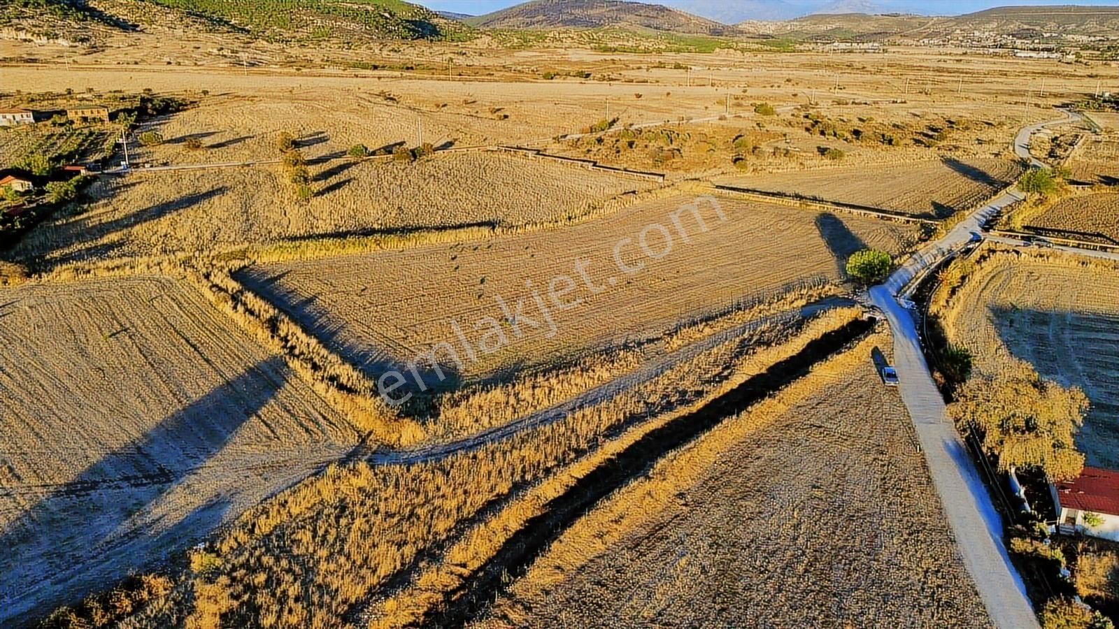 Foça Bağarası Hacıveli Mah. Satılık Tek Tapulu Tarla - Görsel 5