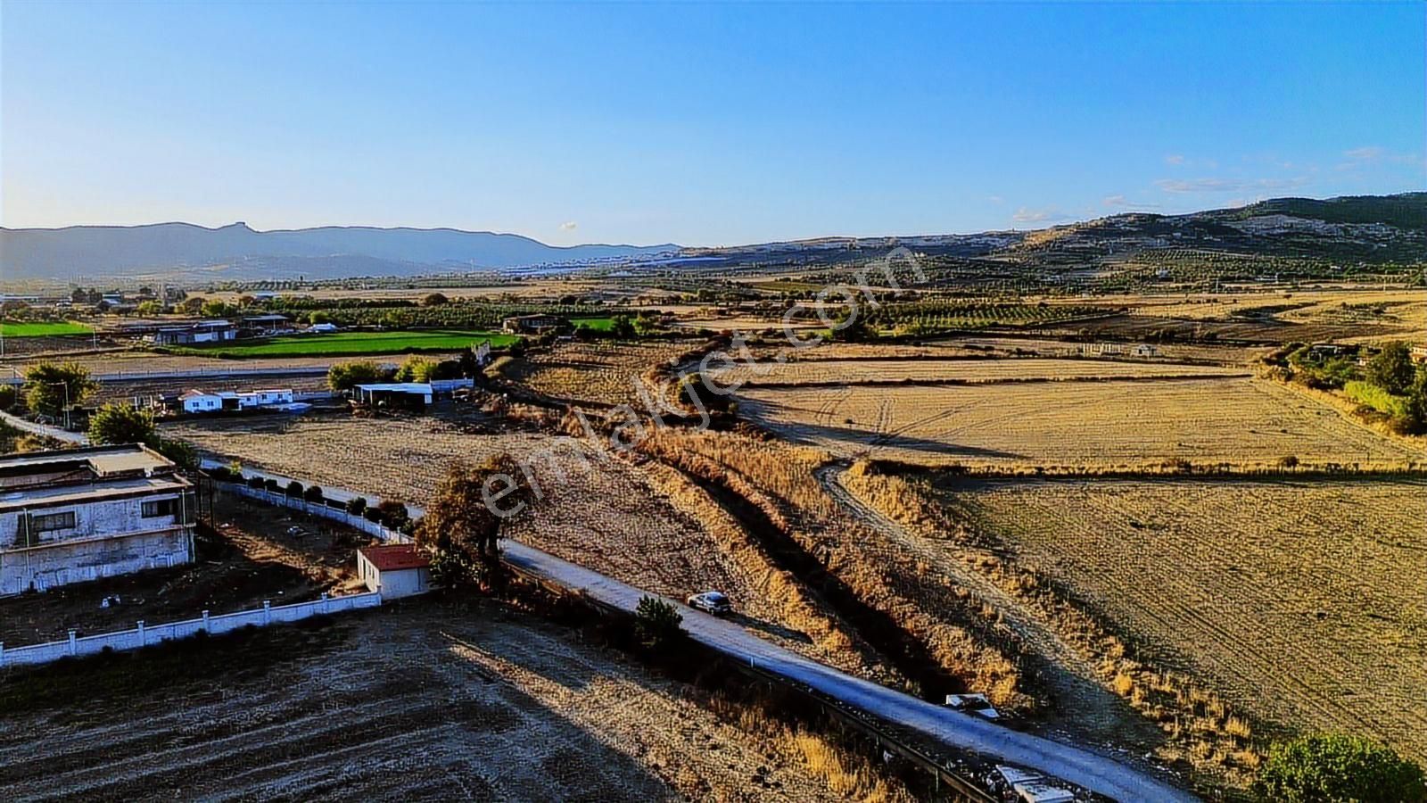 Foça Bağarası Hacıveli Mah. Satılık Tek Tapulu Tarla - Görsel 33