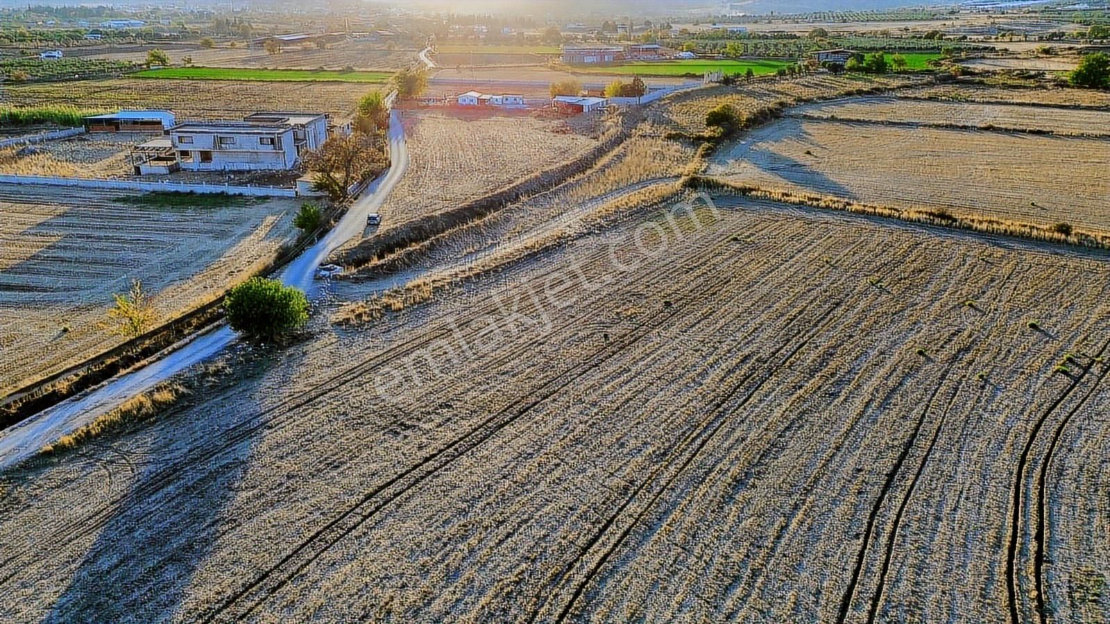 Foça Bağarası Hacıveli Mah. Satılık Tek Tapulu Tarla - Görsel 35