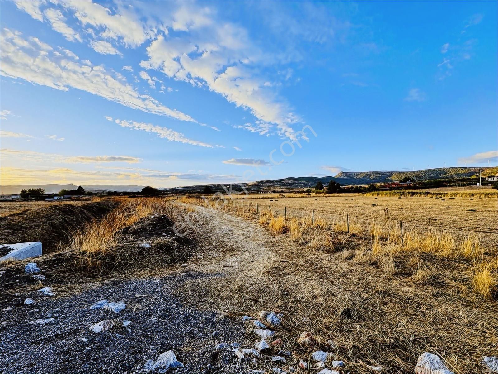 Foça Bağarası Hacıveli Mah. Satılık Tek Tapulu Tarla - Görsel 16