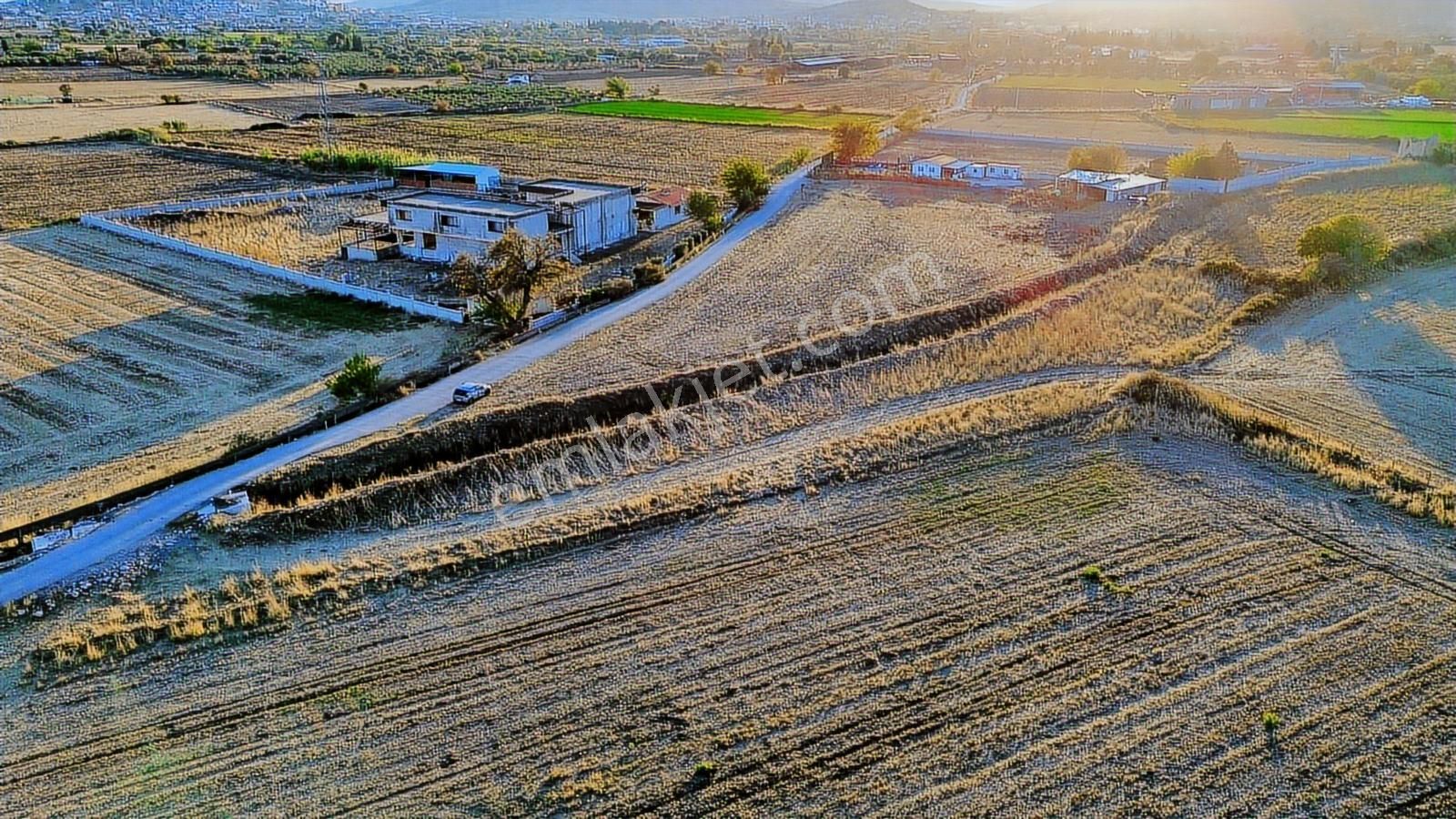 Foça Bağarası Hacıveli Mah. Satılık Tek Tapulu Tarla - Görsel 20
