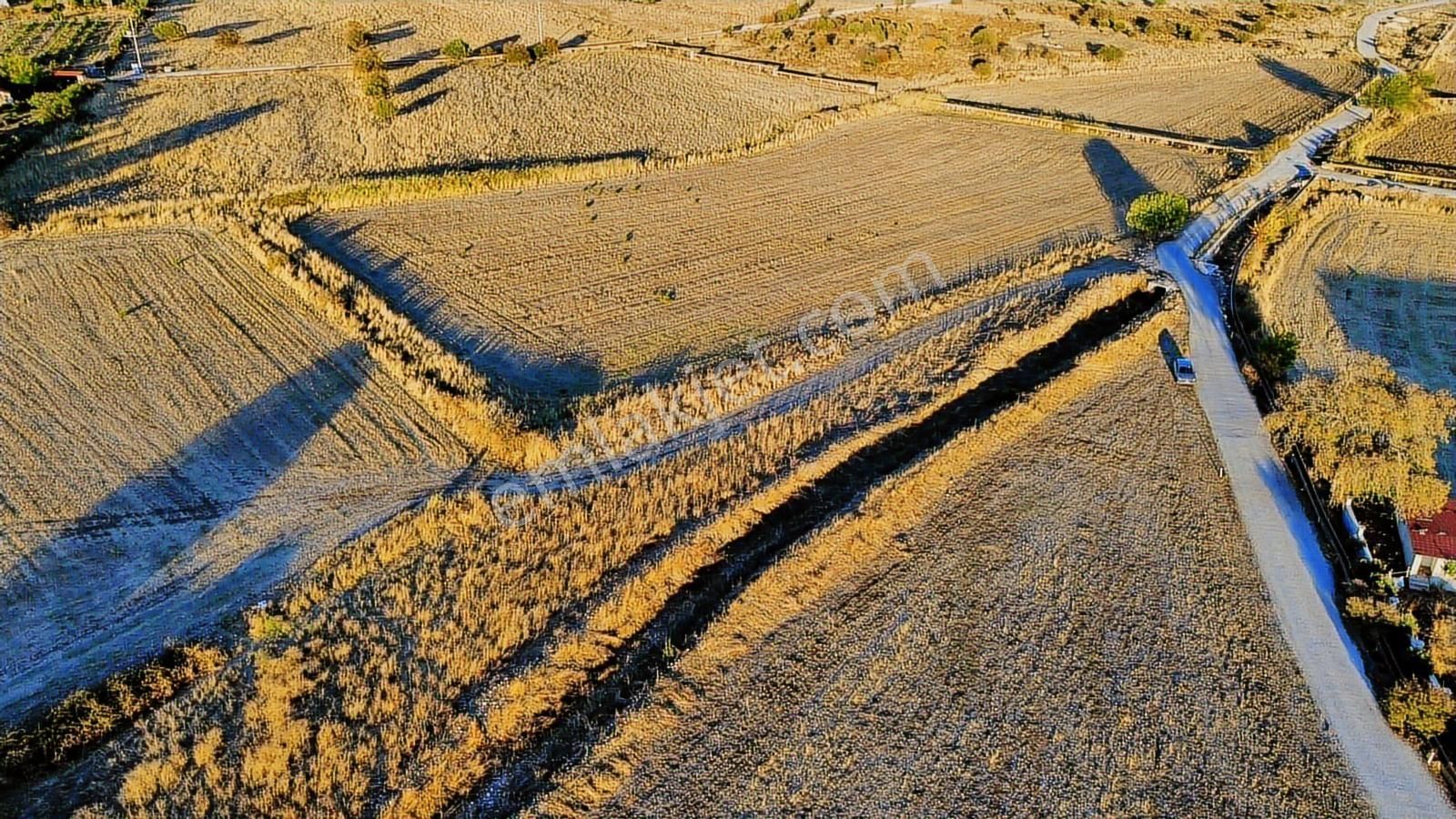 Foça Bağarası Hacıveli Mah. Satılık Tek Tapulu Tarla - Görsel 11