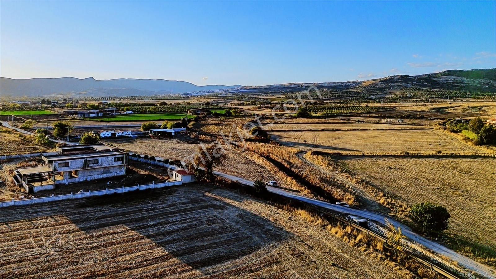 Foça Bağarası Hacıveli Mah. Satılık Tek Tapulu Tarla - Görsel 19