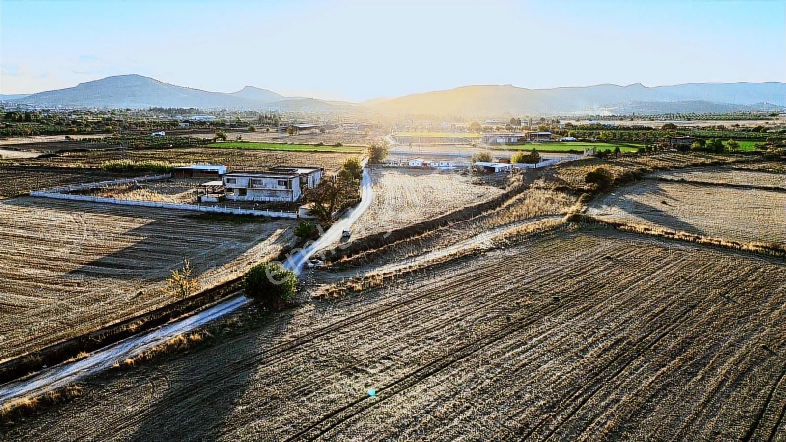 Foça Bağarası Hacıveli Mah. Satılık Tek Tapulu Tarla - Görsel 24