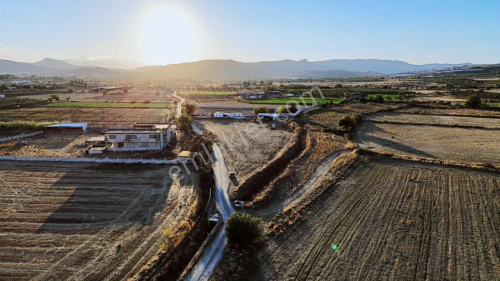Foça Bağarası Hacıveli Mah. Satılık Tek Tapulu Tarla - Görsel 3