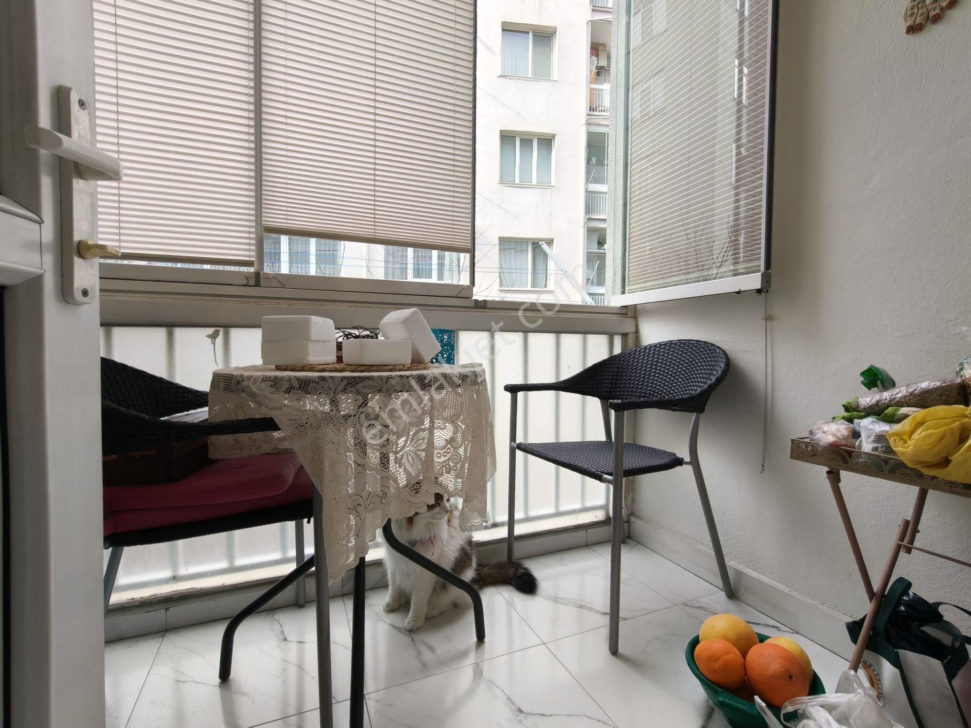 Aşağı/ayrancı/kuzgun/cad/üzeri/ara/kat/3+1+kler/ara/kat/mantolama - Görsel 14