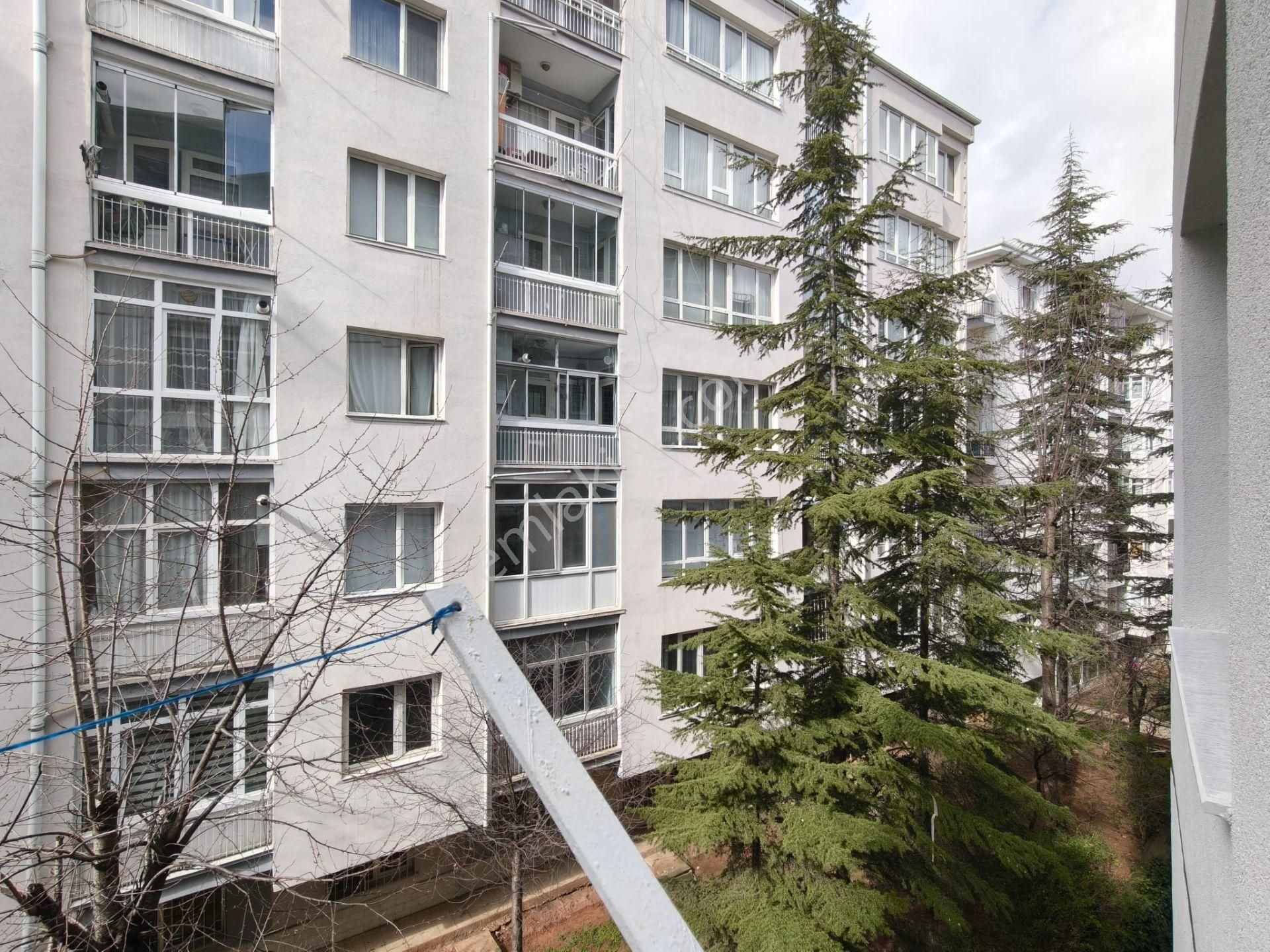 Aşağı/ayrancı/kuzgun/cad/üzeri/ara/kat/3+1+kler/ara/kat/mantolama - Görsel 15