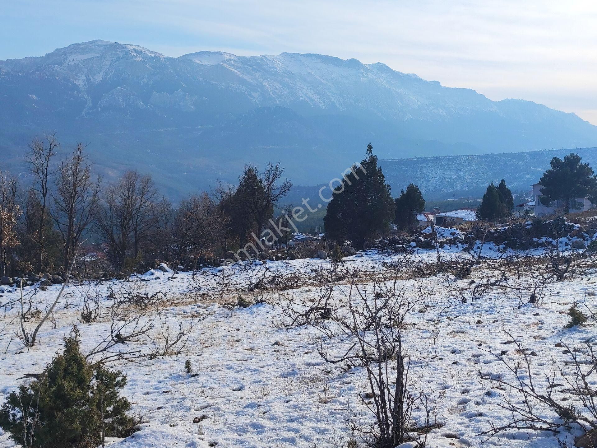 Pozantı Kar Emlak Tan Yeni Konacık Ta Yaylalık 370 - Görsel 23