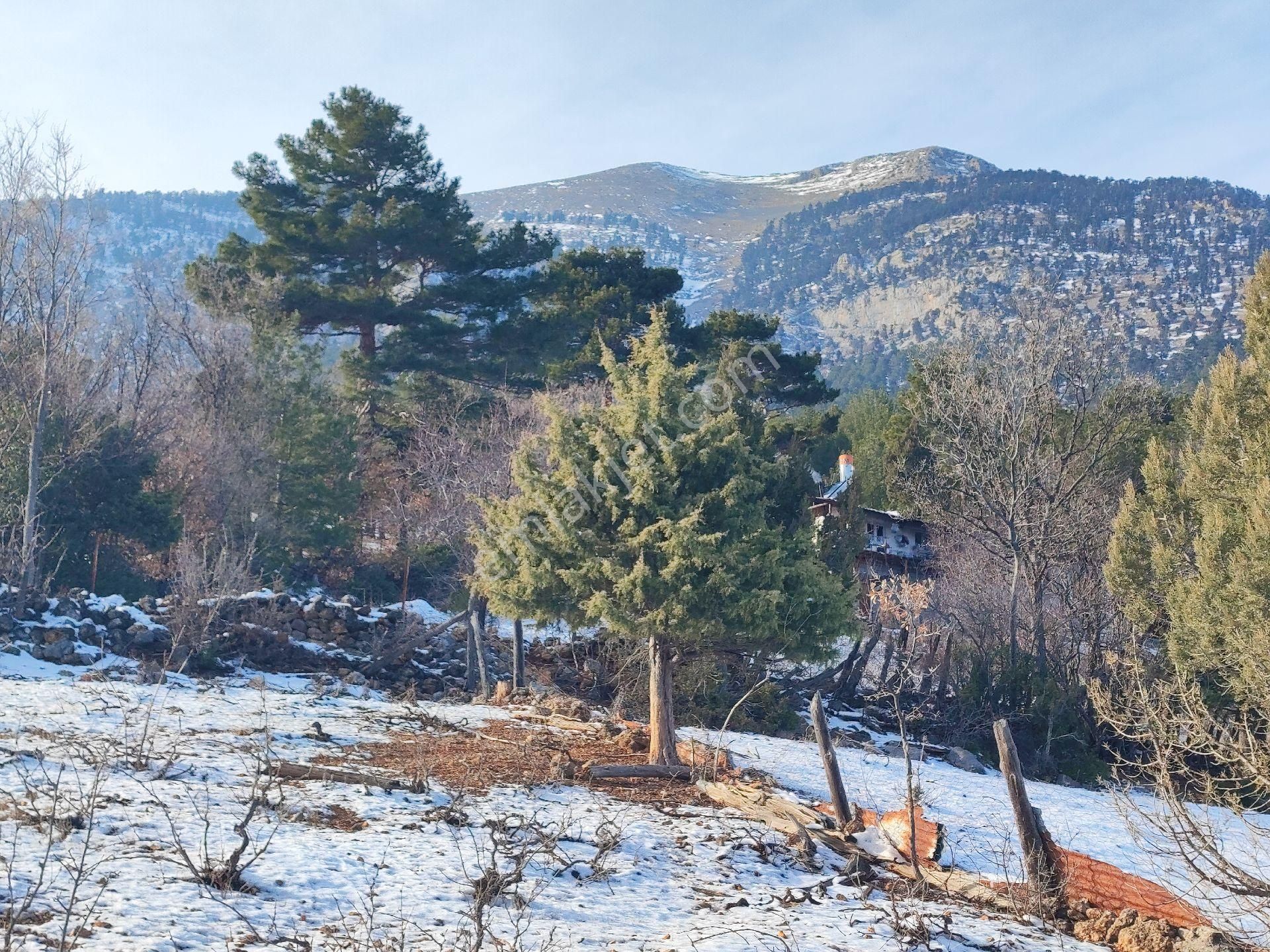 Pozantı Kar Emlak Tan Yeni Konacık Ta Yaylalık 370 - Görsel 10