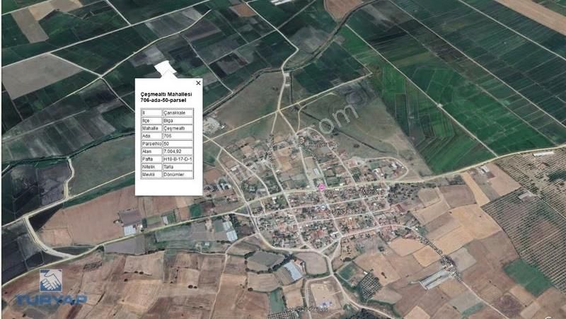 Çanakkale Biga Çeşmealtı 7.000m2 Fırsat Satılık Tarla - Görsel 7