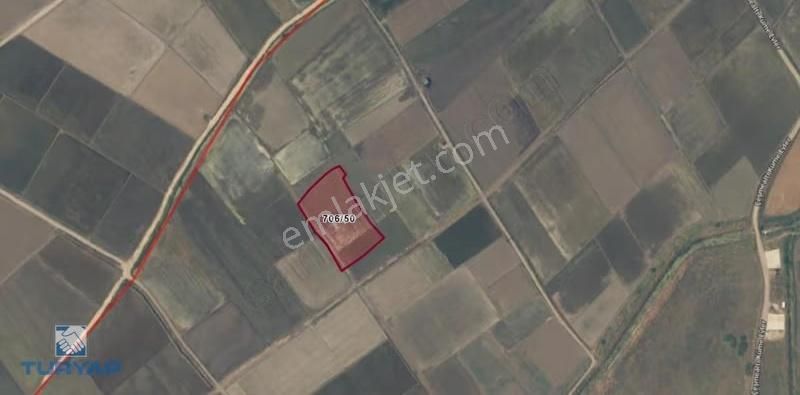 Çanakkale Biga Çeşmealtı 7.000m2 Fırsat Satılık Tarla