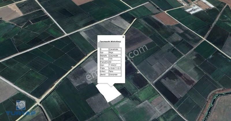 Çanakkale Biga Çeşmealtı 7.000m2 Fırsat Satılık Tarla - Görsel 6