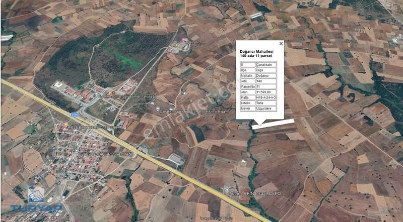 Çanakkale Biga Doğancı Köyü Üniversiteye Yakın Fırsat Tarla