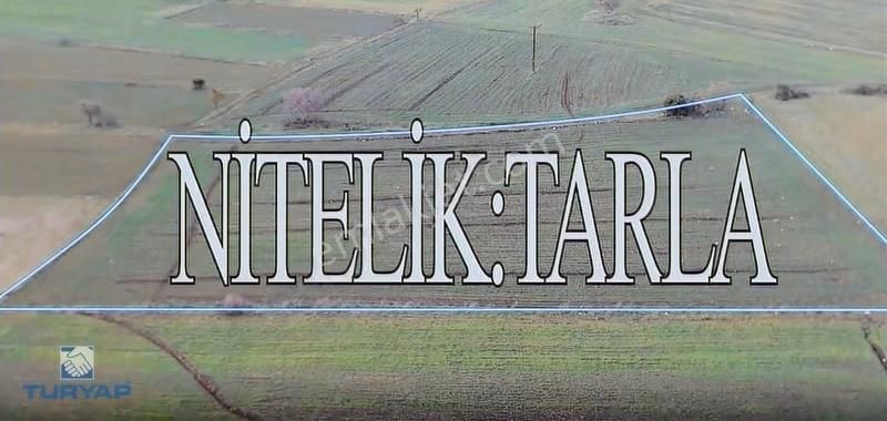 Biga Yeniçiftlikte 7.545 M² Yatırımlık Tarla | Karayoluna Yakın - Görsel 7