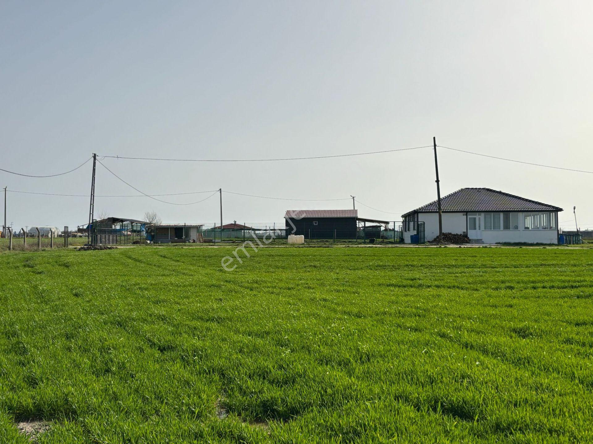 Güven'den Çayla'da 450m² İmar İçi Yola Cephe Kupon Parsel !!!!!! - Görsel 25