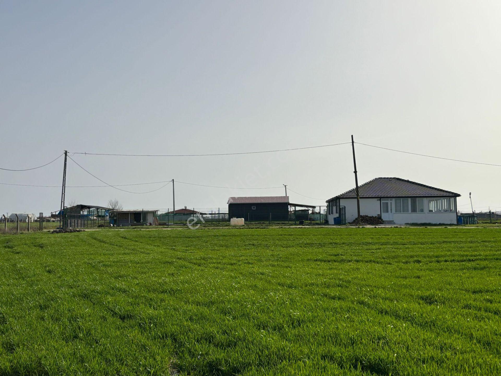 Güven'den Çayla'da 450m² İmar İçi Yola Cephe Kupon Parsel !!!!!! - Görsel 29