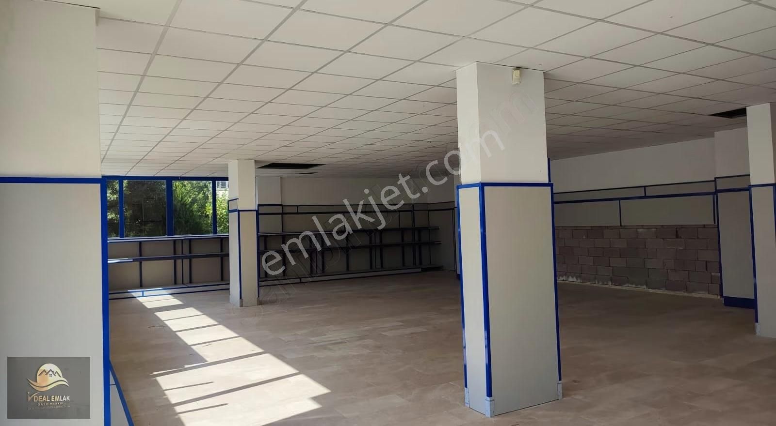 İskele De Liman Civarı Satılık 420 M2 İşyeri