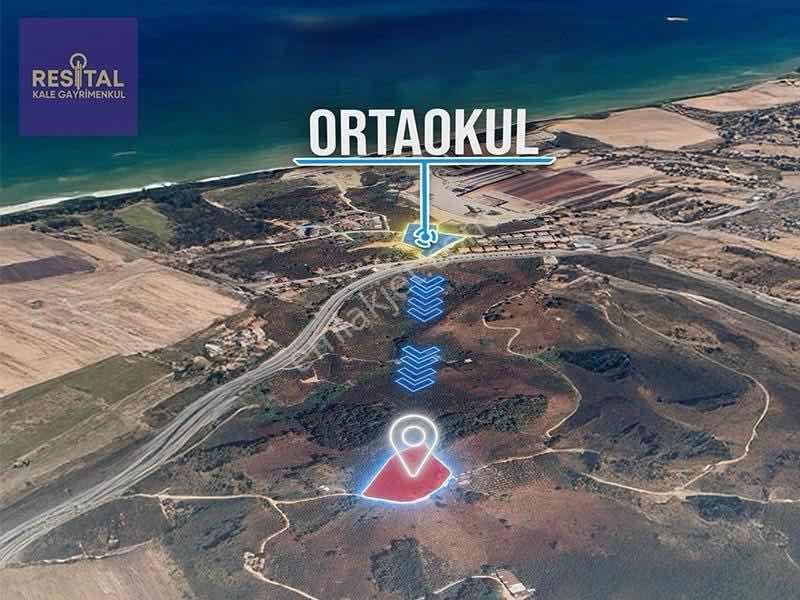 Akçakoca Ayazlıda Deniz Manzaralı 12.265 M² Fındık Bahçesi - Görsel 3