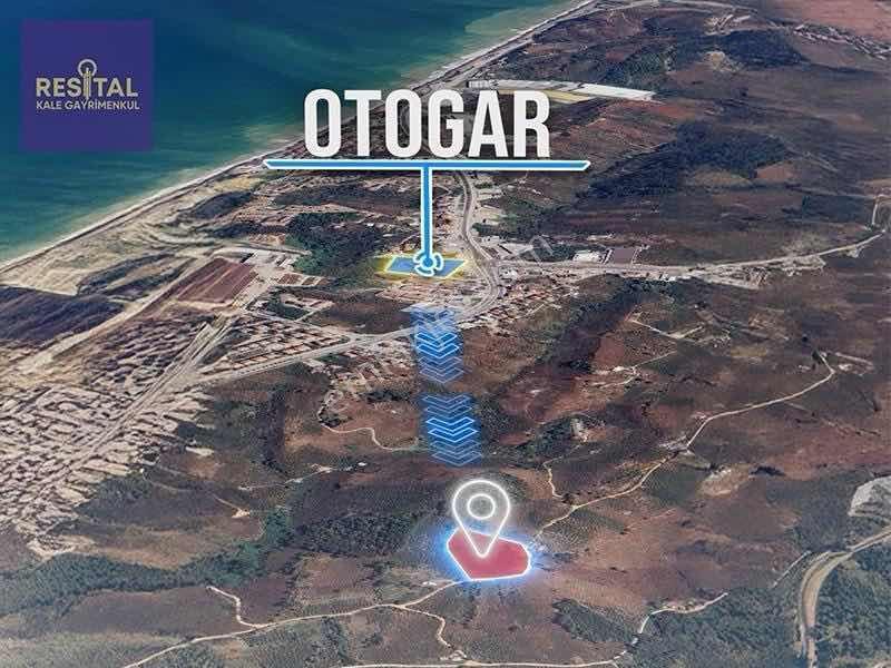 Akçakoca Ayazlıda Deniz Manzaralı 12.265 M² Fındık Bahçesi - Görsel 4