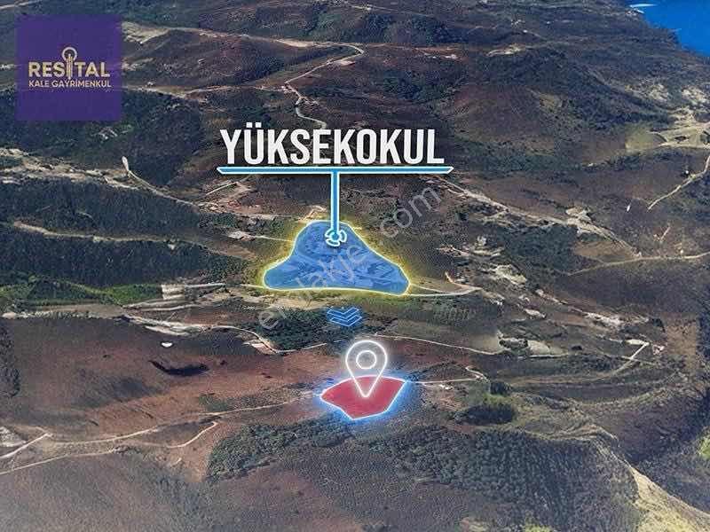 Akçakoca Ayazlıda Deniz Manzaralı 12.265 M² Fındık Bahçesi - Görsel 7