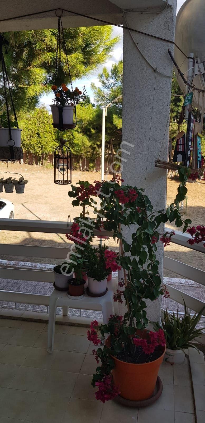 Site İçinde Sahile 200 M Satılık Yazlık - Görsel 2