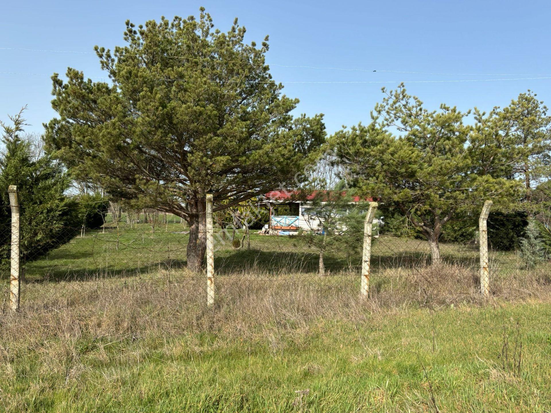 Güven'den Altın Değerin'de Fırsat Bağ Evi Yapımına Uygun 290m² - Görsel 14