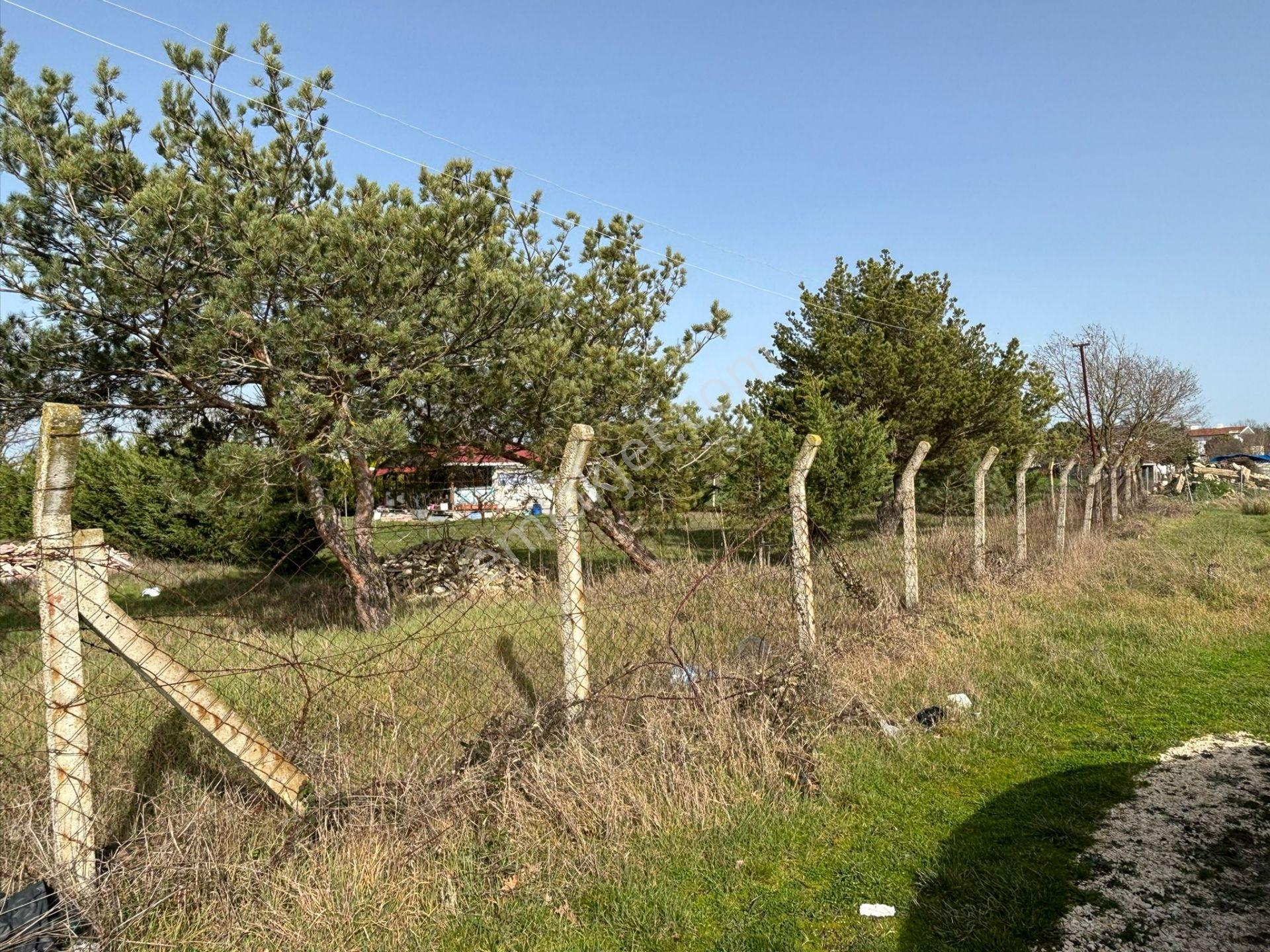 Güven'den Altın Değerin'de Fırsat Bağ Evi Yapımına Uygun 290m² - Görsel 21