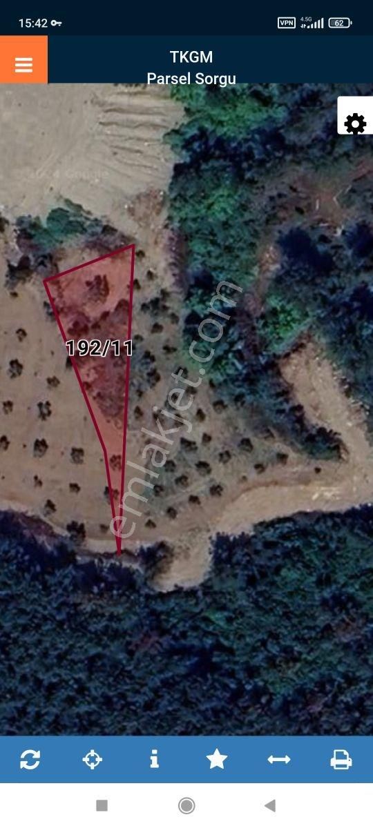 Son Fırsat,bu Gün Al Hemen Kazan,satılık Zeytinlik, - Görsel 4