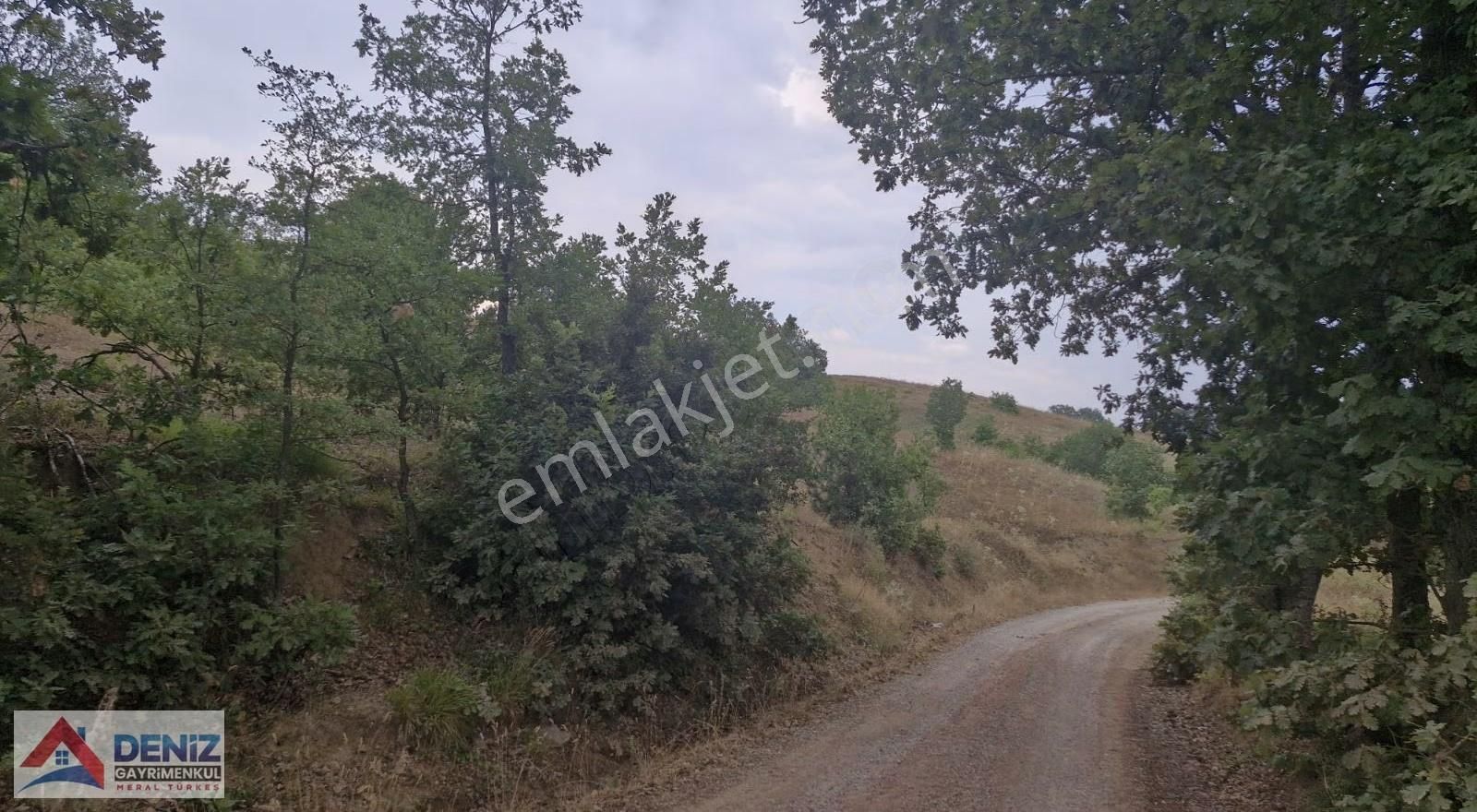 Bursa Kestel Nüzhetiye Tek Tapu 1800 M2 Satılık Arazi