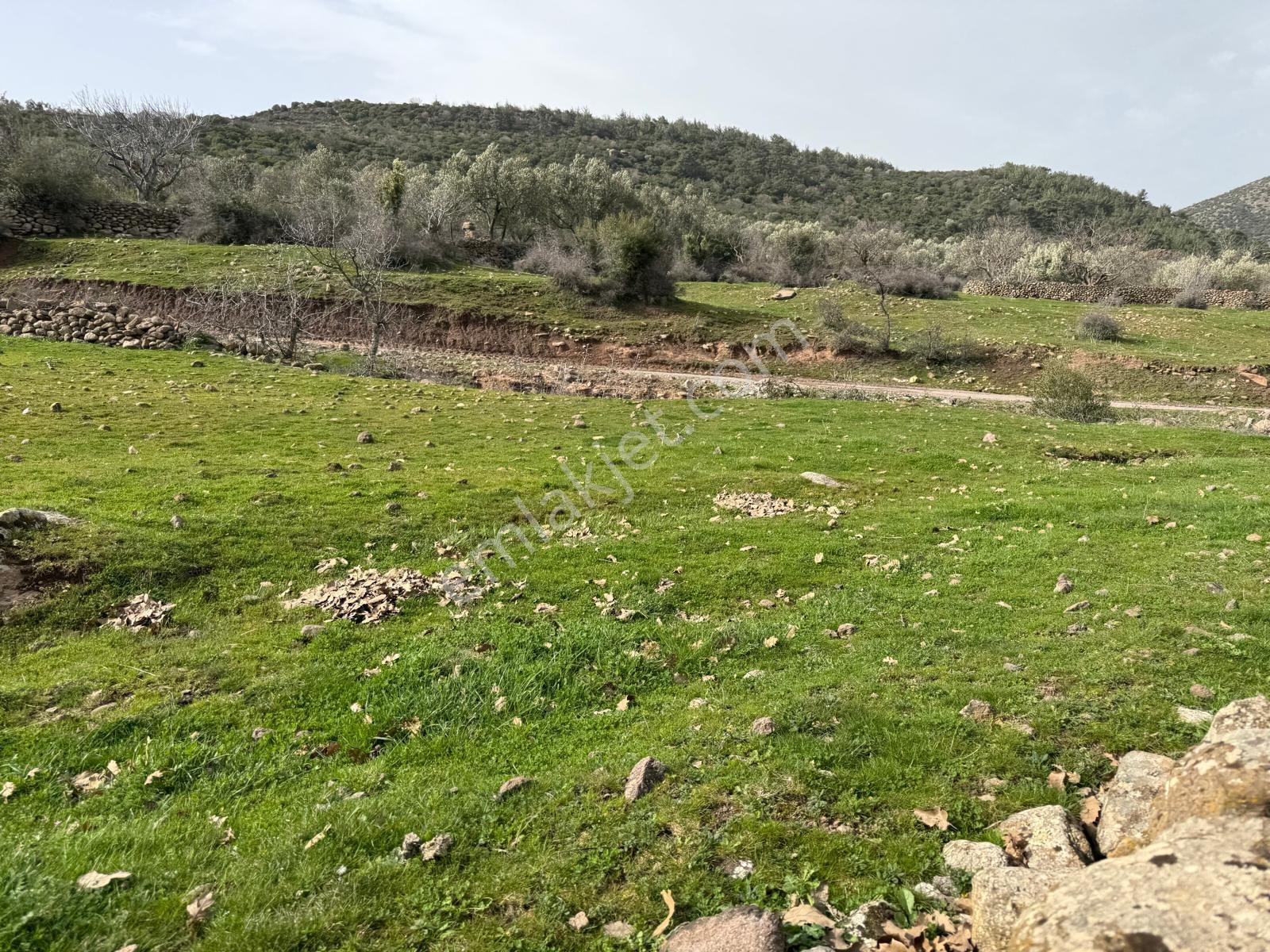 Bilginoğlu Emlaktan Maldan Mahallesi'nde Satılık İmarlı Arsa - Görsel 2