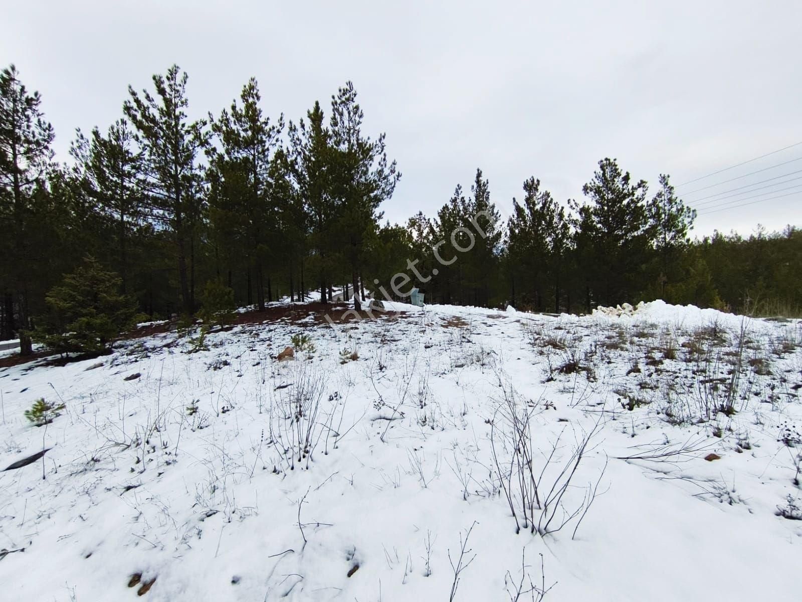Pozantı Kar Emlak Tan Yeni Konacık Ogre - Görsel 34