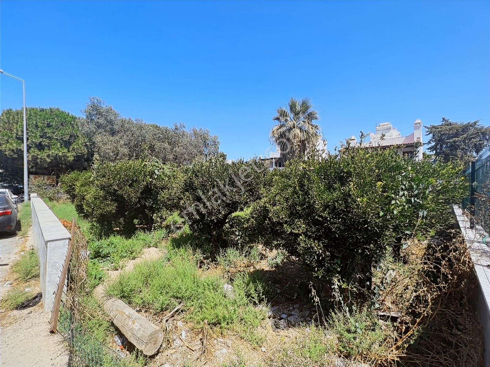 Bodrum Turgutreis Satılık Arsa 336 M2 - Görsel 6