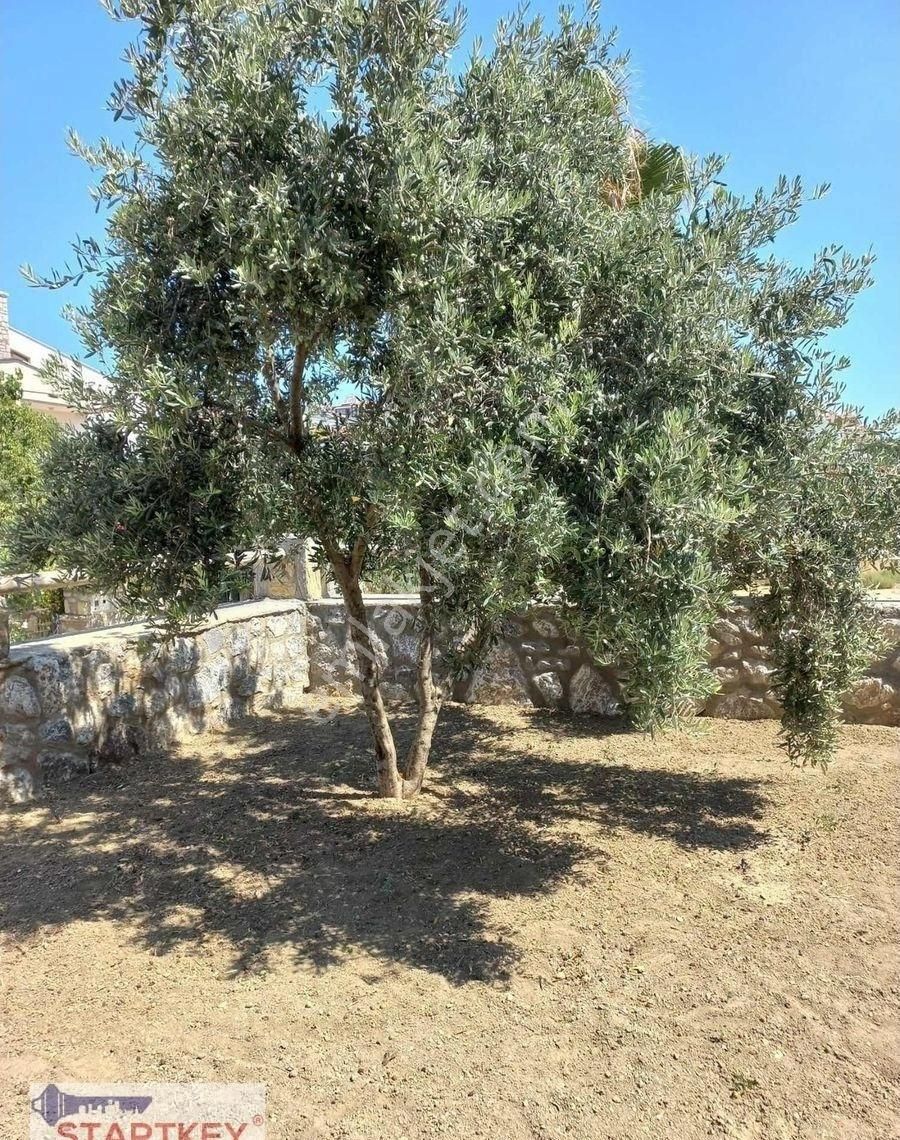 Startkey Datça Merkeze Yakın Deniz Manzaralı,bahçeli 1+1 Daire - Görsel 23