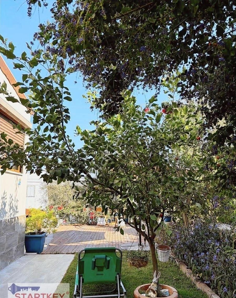 Startkey Pelit Mandalya Ve Kargı Yolu Üzerinde Modern Villa - Görsel 3