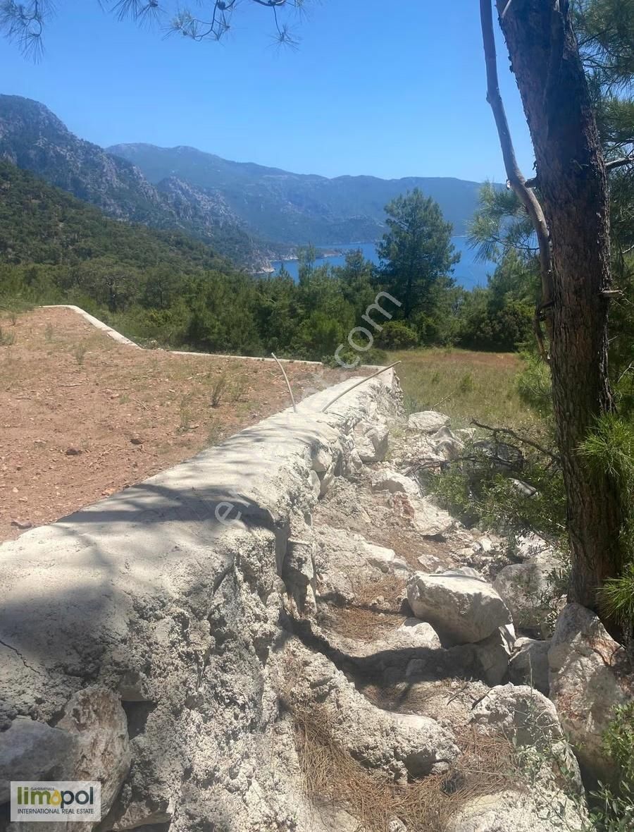 Fethiye Faralyada 2.961 M² Yatırımlık Tarla - Görsel 2