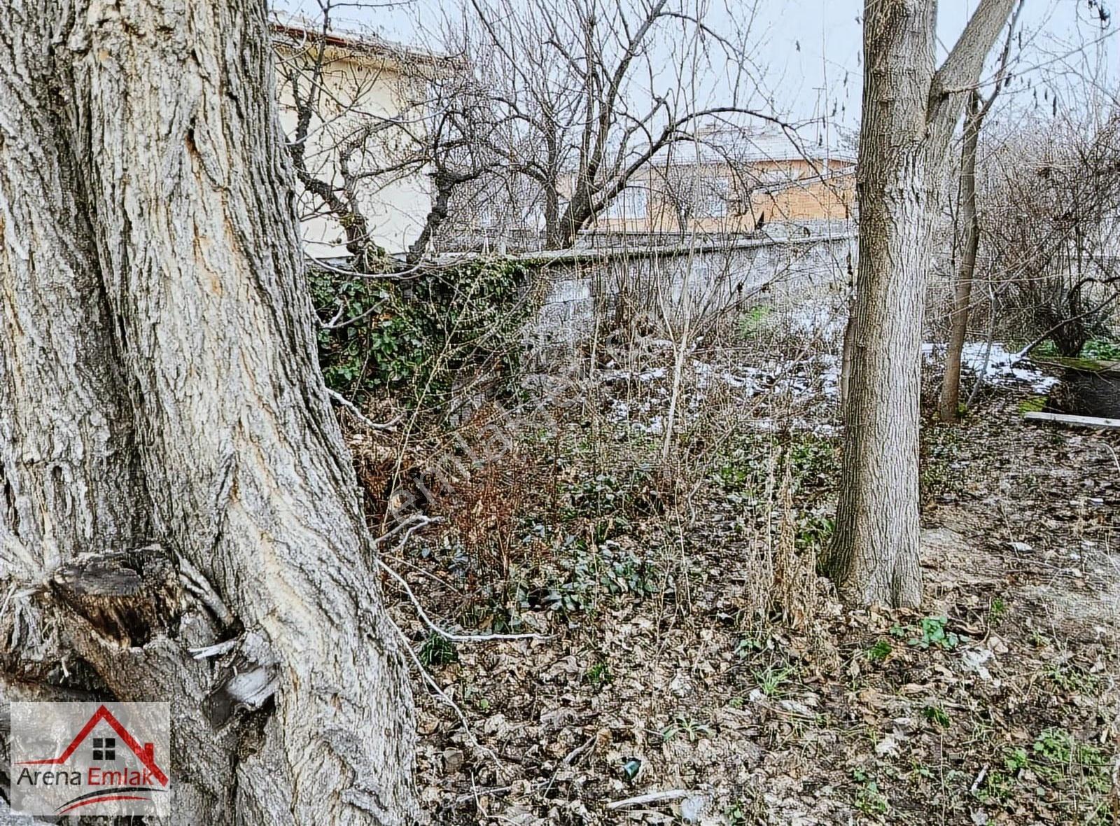 Arena Emlak'tan Köşe Başı 501 M2 Müstakil Bahçeli Ev - Görsel 13