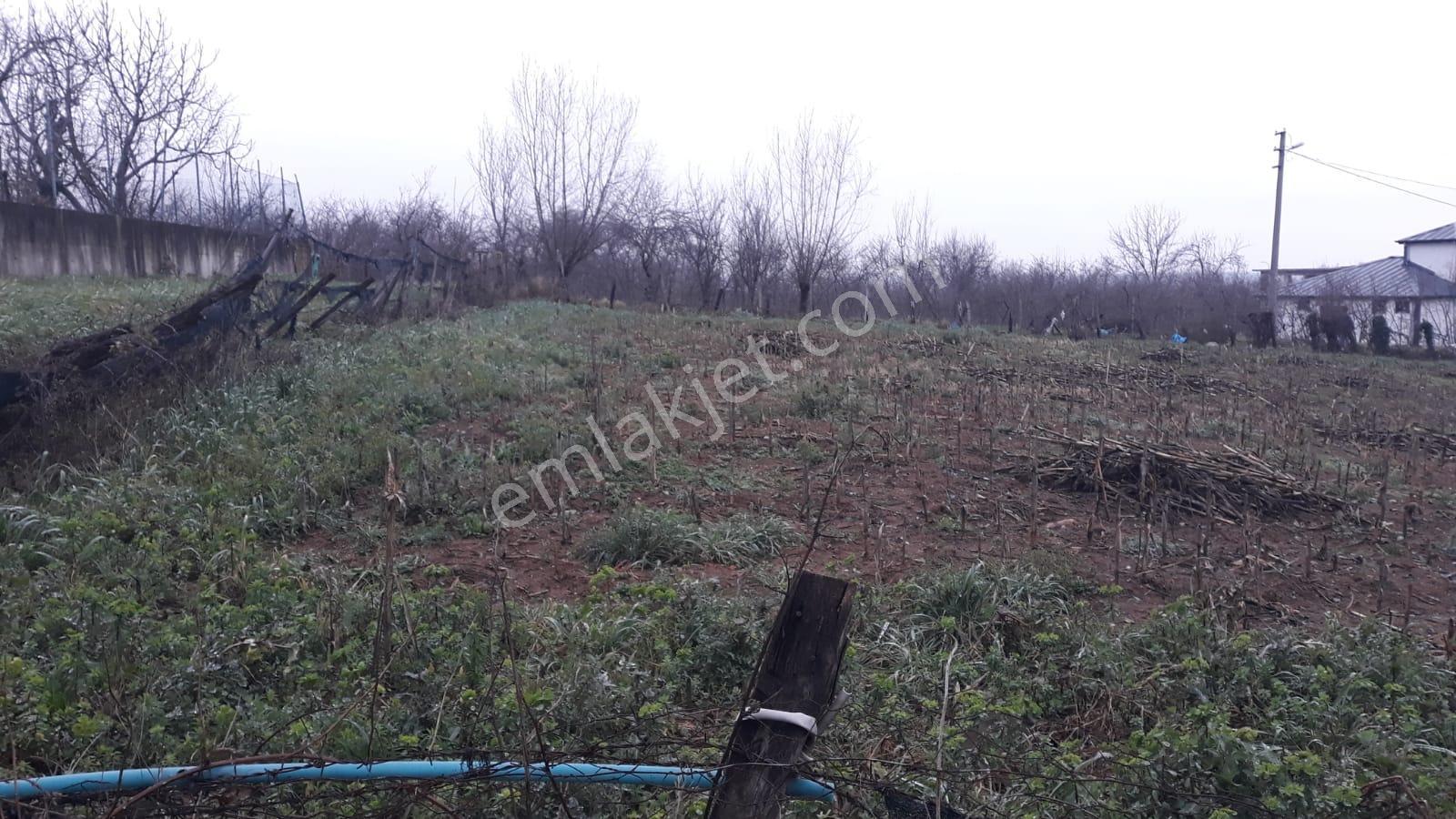 Kuzuluk Bölgesinde İmar Sürecindeki Yatırımlık Arazi - Görsel 3