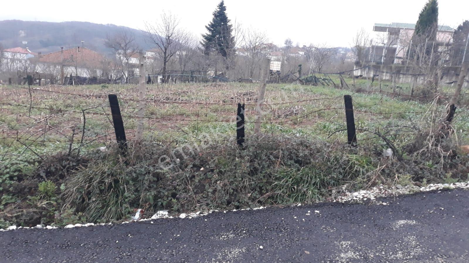 Kuzuluk Bölgesinde İmar Sürecindeki Yatırımlık Arazi - Görsel 6