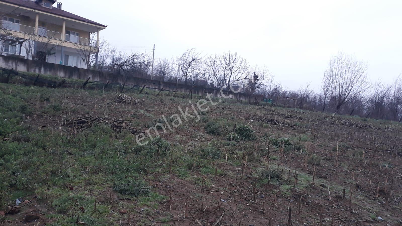 Kuzuluk Bölgesinde İmar Sürecindeki Yatırımlık Arazi - Görsel 8