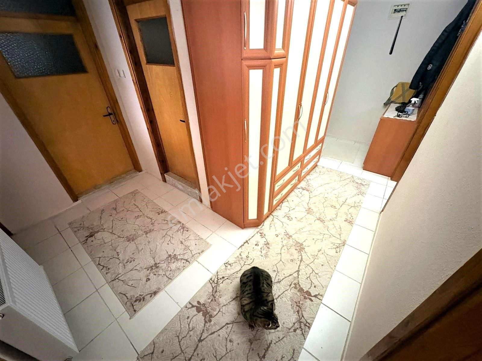 🏠blue Life Egen'den Gerçek İlan-altınkum'da Denize 450mt Ön Cephe Ayrı Mutfaklı 2+1 Daire - Görsel 21