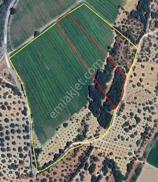 Yola Yakın, Her Türlü Ekime Uygun Tarla