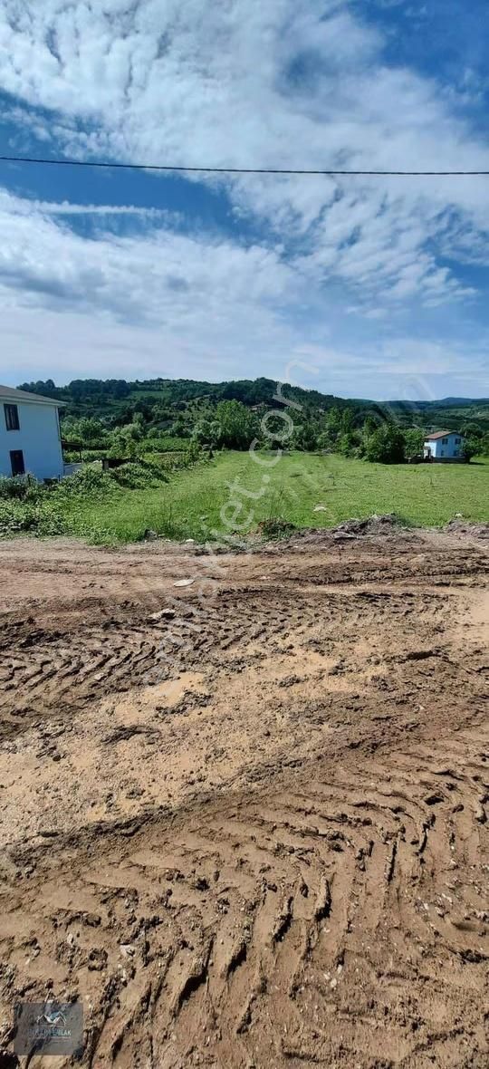 Resmi Yolu Var Elektirik Su Hatları Başında Yerleşim İçinde - Görsel 8